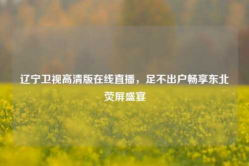 辽宁卫视高清版在线直播,足不出户畅享东北荧屏盛宴