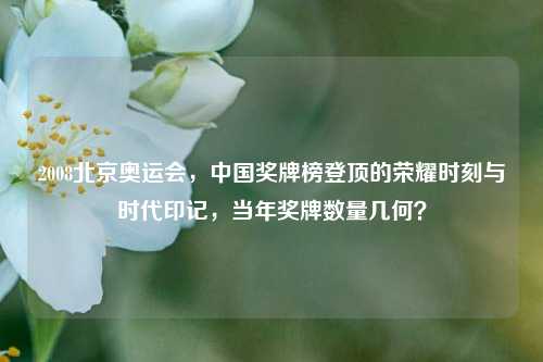 2008北京奥运会，中国奖牌榜登顶的荣耀时刻与时代印记，当年奖牌数量几何？