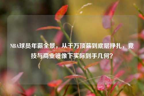 NBA球员年薪全景，从千万顶薪到底层挣扎，竞技与商业镜像下实际到手几何？