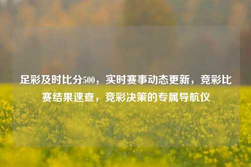 足彩及时比分500，实时赛事动态更新，竞彩比赛结果速查，竞彩决策的专属导航仪