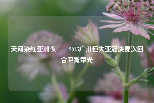 天河染红亚洲夜——2015广州恒大亚冠决赛次回合卫冕荣光
