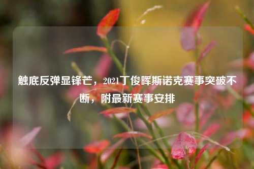触底反弹显锋芒，2021丁俊晖斯诺克赛事突破不断，附最新赛事安排
