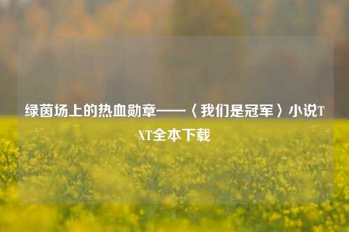 绿茵场上的热血勋章——〈我们是冠军〉小说TXT全本下载