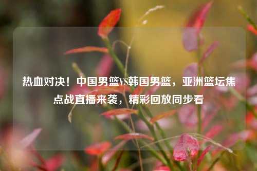 热血对决!中国男篮VS韩国男篮,亚洲篮坛焦点战直播来袭,精彩回放同步看
