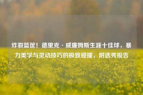 炸裂篮筐！德里克·威廉姆斯生涯十佳球，暴力美学与灵动技巧的极致碰撞，附选秀报告