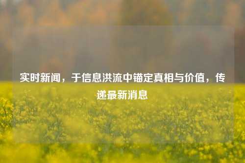 实时新闻，于信息洪流中锚定真相与价值，传递最新消息