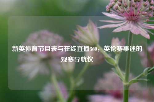 新英体育节目表与在线直播360，英伦赛事迷的观赛导航仪