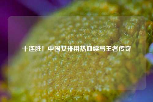 十连胜！中国女排用热血续写王者传奇
