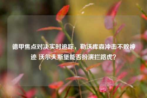 德甲焦点对决实时追踪，勒沃库森冲击不败神迹 沃尔夫斯堡能否扮演拦路虎？