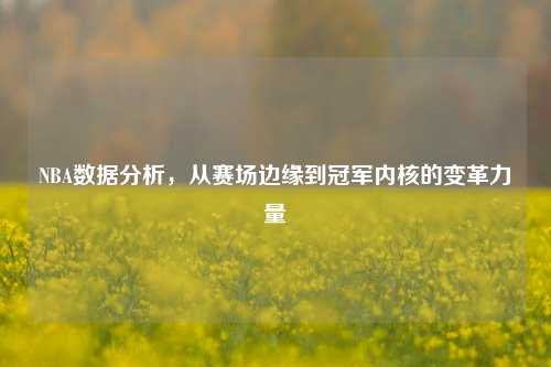 NBA数据分析，从赛场边缘到冠军内核的变革力量