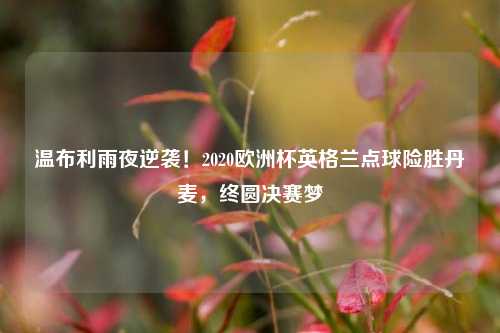 温布利雨夜逆袭！2020欧洲杯英格兰点球险胜丹麦，终圆决赛梦
