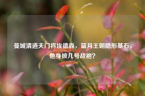 曼城清道夫门将埃德森，蓝月王朝隐形基石，他身披几号战袍？