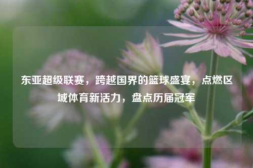东亚超级联赛，跨越国界的篮球盛宴，点燃区域体育新活力，盘点历届冠军