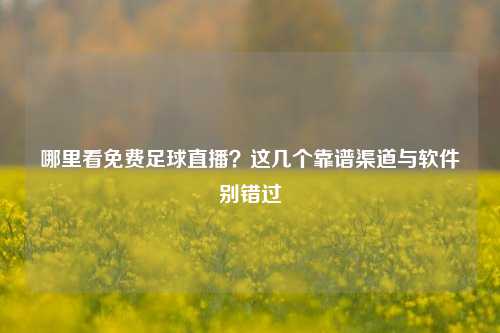 哪里看免费足球直播？这几个靠谱渠道与软件别错过