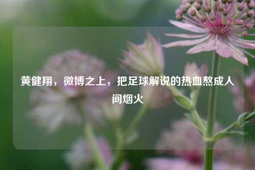 黄健翔，微博之上，把足球解说的热血熬成人间烟火