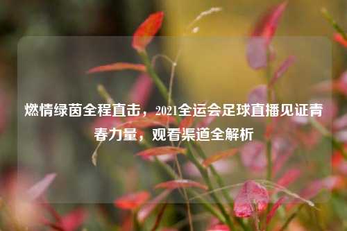 燃情绿茵全程直击,2021全运会足球直播见证青春力量,观看渠道全解析