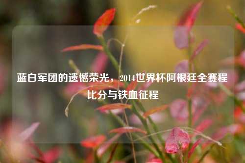 蓝白军团的遗憾荣光，2014世界杯阿根廷全赛程比分与铁血征程