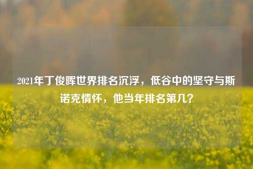 2021年丁俊晖世界排名沉浮，低谷中的坚守与斯诺克情怀，他当年排名第几？