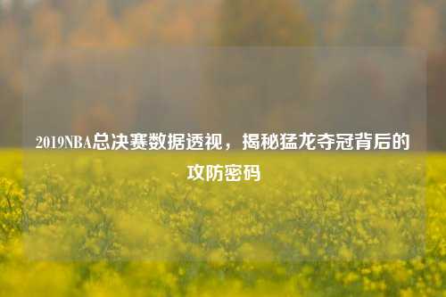 2019NBA总决赛数据透视，揭秘猛龙夺冠背后的攻防密码