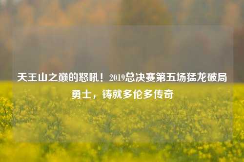 天王山之巅的怒吼！2019总决赛第五场猛龙破局勇士，铸就多伦多传奇