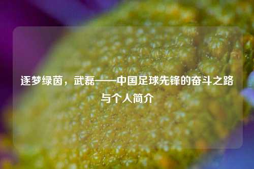 逐梦绿茵，武磊——中国足球先锋的奋斗之路与个人简介