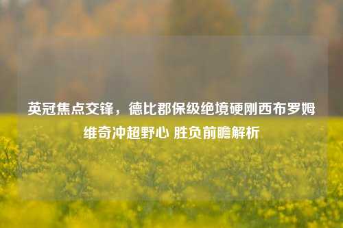 英冠焦点交锋，德比郡保级绝境硬刚西布罗姆维奇冲超野心 胜负前瞻解析