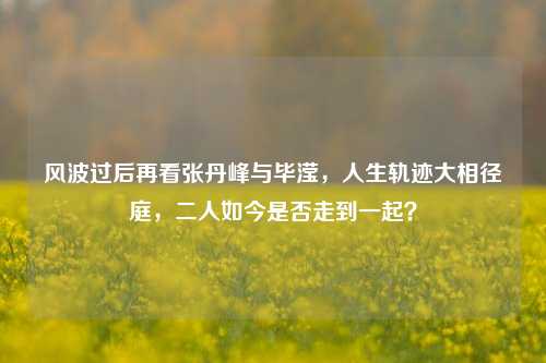 风波过后再看张丹峰与毕滢，人生轨迹大相径庭，二人如今是否走到一起？
