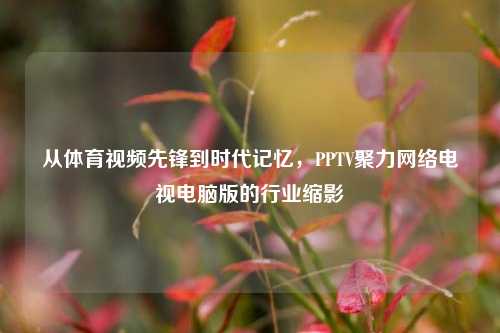 从体育视频先锋到时代记忆，PPTV聚力网络电视电脑版的行业缩影