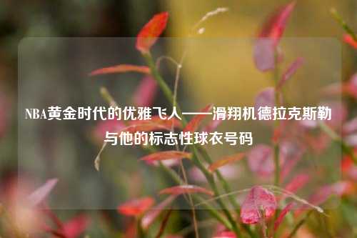 NBA黄金时代的优雅飞人——滑翔机德拉克斯勒与他的标志性球衣号码