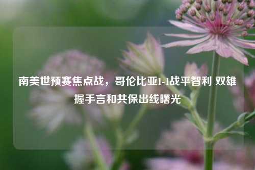 南美世预赛焦点战，哥伦比亚1-1战平智利 双雄握手言和共保出线曙光