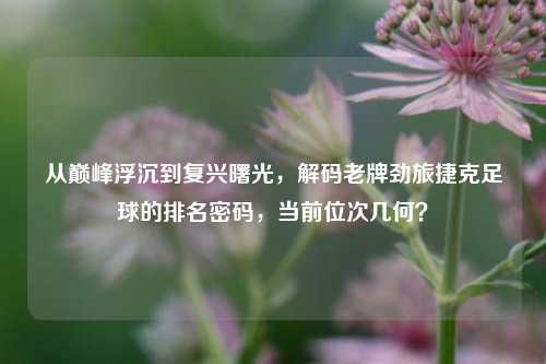 从巅峰浮沉到复兴曙光，解码老牌劲旅捷克足球的排名密码，当前位次几何？