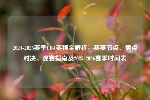 2024-2025赛季CBA赛程全解析，赛事节点、焦点对决、观赛指南及2025-2026赛季时间表