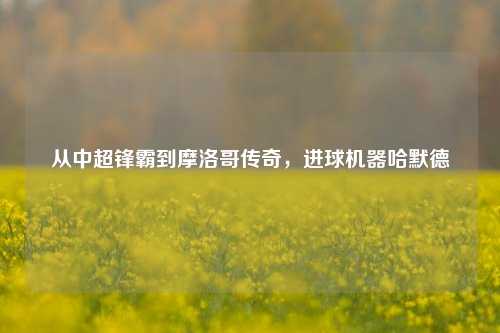 从中超锋霸到摩洛哥传奇，进球机器哈默德