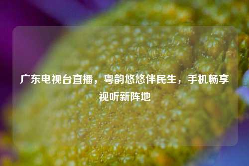 广东电视台直播，粤韵悠悠伴民生，手机畅享视听新阵地