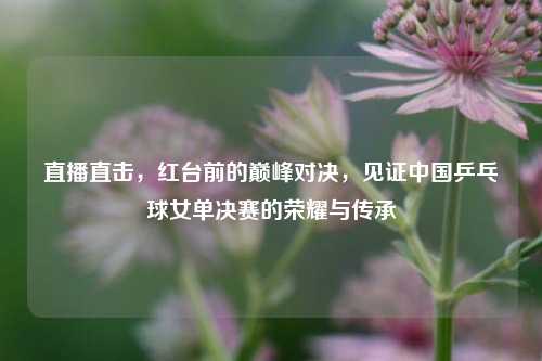 直播直击，红台前的巅峰对决，见证中国乒乓球女单决赛的荣耀与传承