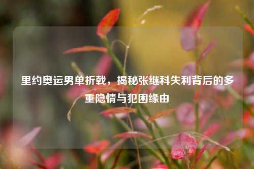 里约奥运男单折戟，揭秘张继科失利背后的多重隐情与犯困缘由