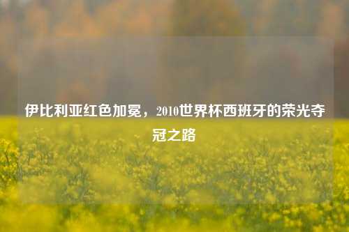 伊比利亚红色加冕，2010世界杯西班牙的荣光夺冠之路
