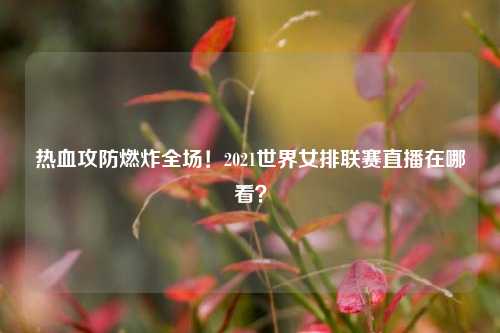 热血攻防燃炸全场!2021世界女排联赛直播在哪看?
