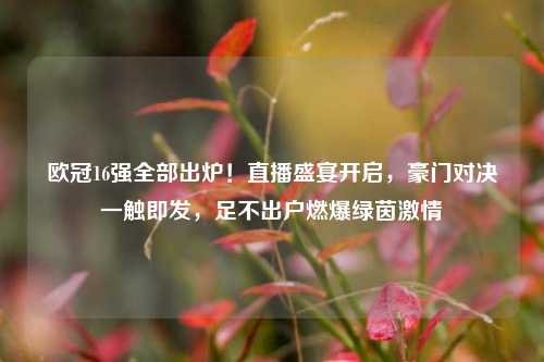 欧冠16强全部出炉!直播盛宴开启,豪门对决一触即发,足不出户燃爆绿茵激情