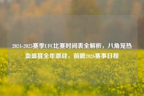 2024-2025赛季UFC比赛时间表全解析，八角笼热血盛宴全年激战，前瞻2026赛事日程