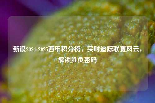 新浪2024-2025西甲积分榜，实时追踪联赛风云，解锁胜负密码