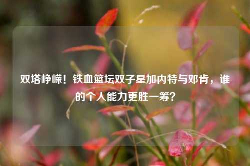 双塔峥嵘！铁血篮坛双子星加内特与邓肯，谁的个人能力更胜一筹？