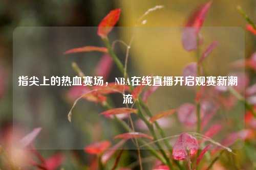指尖上的热血赛场,NBA在线直播开启观赛新潮流