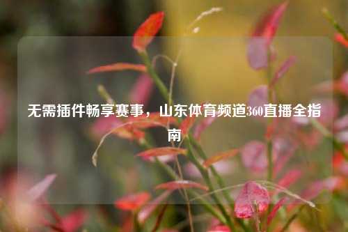 无需插件畅享赛事，山东体育频道360直播全指南