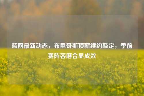 篮网最新动态，布里奇斯顶薪续约敲定，季前赛阵容磨合显成效