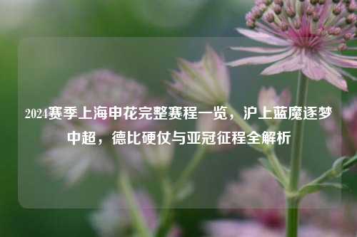 2024赛季上海申花完整赛程一览,沪上蓝魔逐梦中超,德比硬仗与亚冠征程全解析