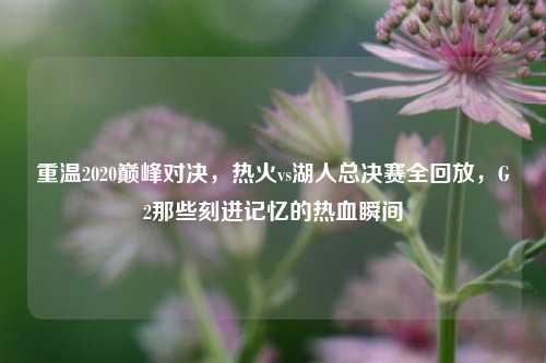 重温2020巅峰对决，热火vs湖人总决赛全回放，G2那些刻进记忆的热血瞬间