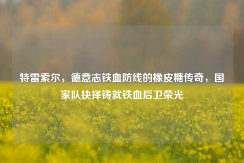 特雷索尔,德意志铁血防线的橡皮糖传奇,国家队抉择铸就铁血后卫荣光