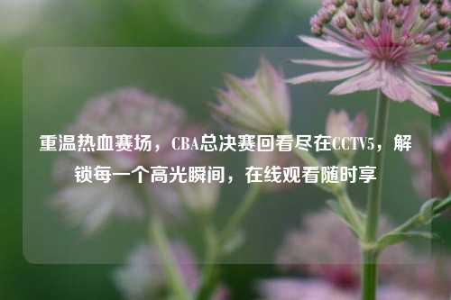 重温热血赛场，CBA总决赛回看尽在CCTV5，解锁每一个高光瞬间，在线观看随时享