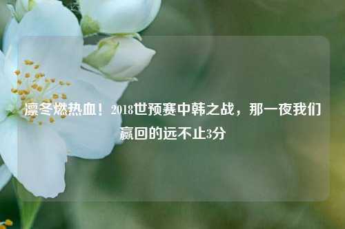 凛冬燃热血!2018世预赛中韩之战,那一夜我们赢回的远不止3分